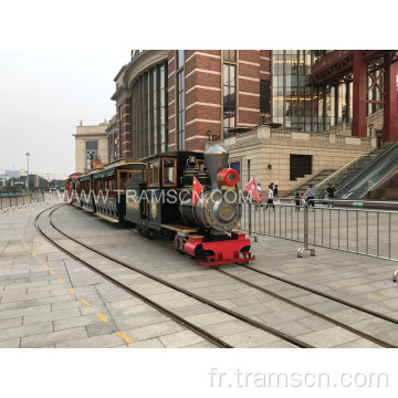 Train de piste pour enfants de promenades chaudes pour parc en extérieur